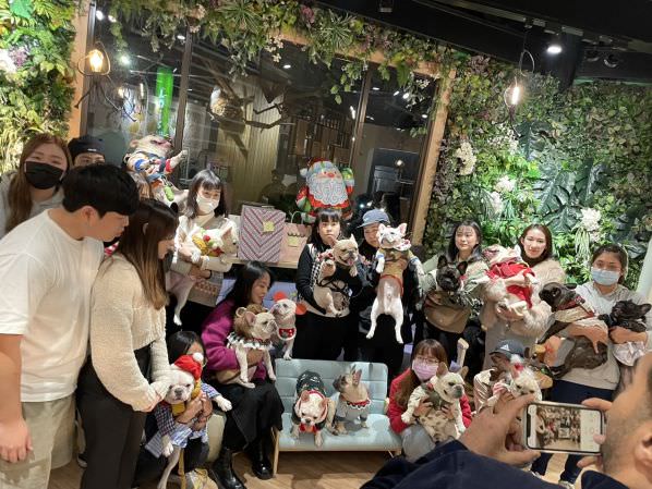 森林小徑健行店對寵物超友善